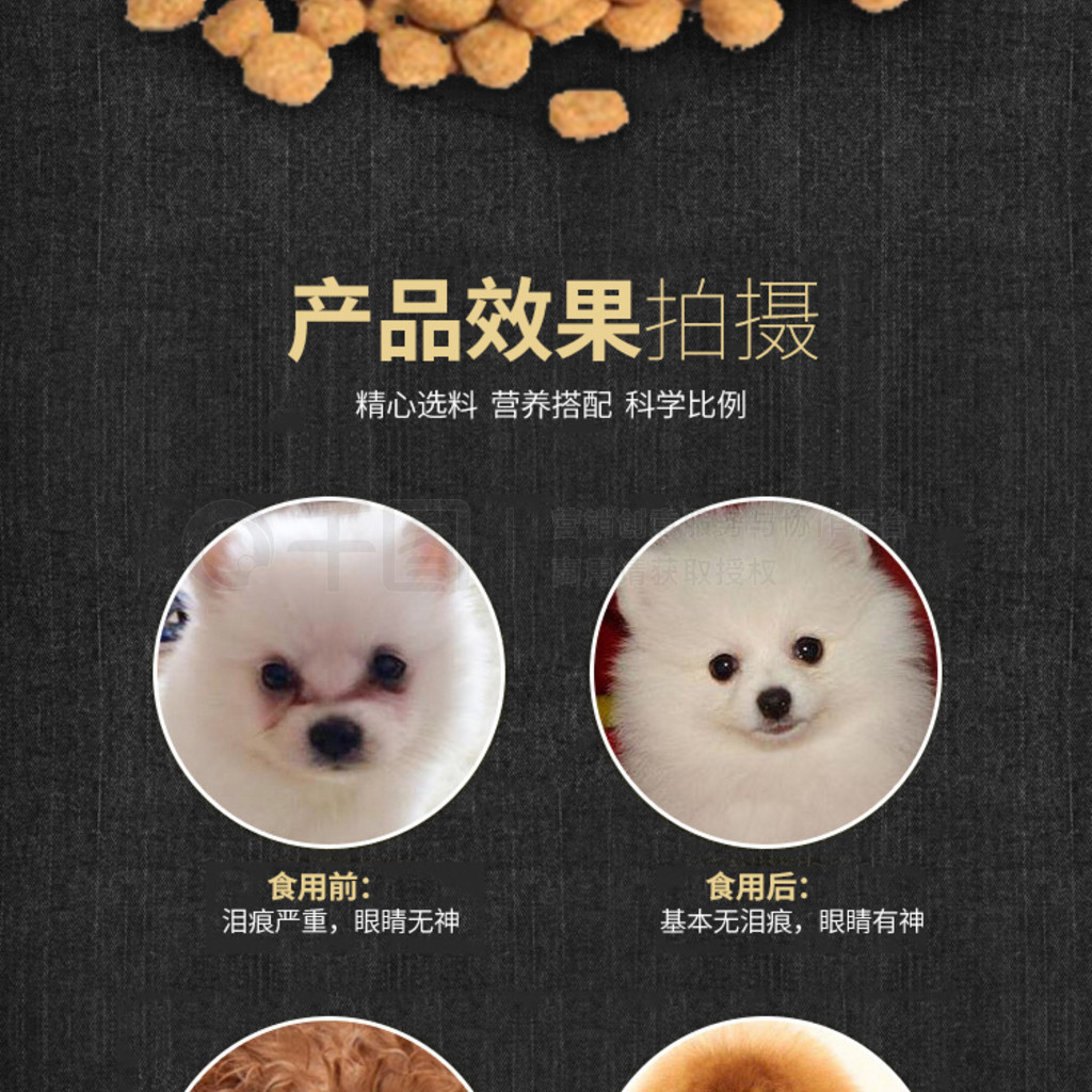 中大形宠物福音 营养满分的大颗粒狗粮猫粮详解