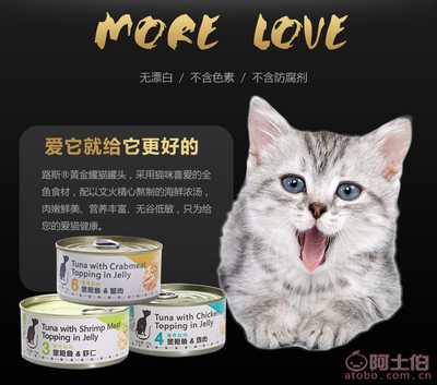 宠爱升级 尝尝路斯猫咪罐头的至鲜滋味